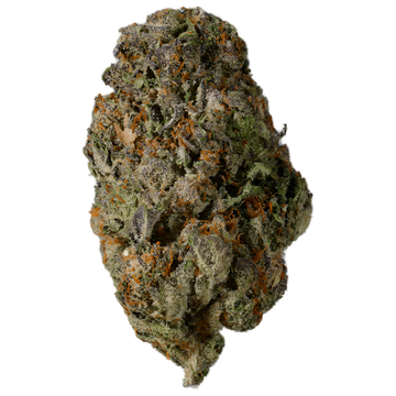 Lemon Cherry Gelato 3.5g — Flavorz Hemp hemp flower