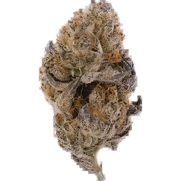 Pink Runtz 3.5g — Flavorz Hemp hemp flower