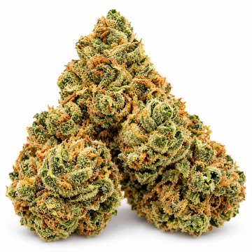 THC-A Flower - Couch Candy